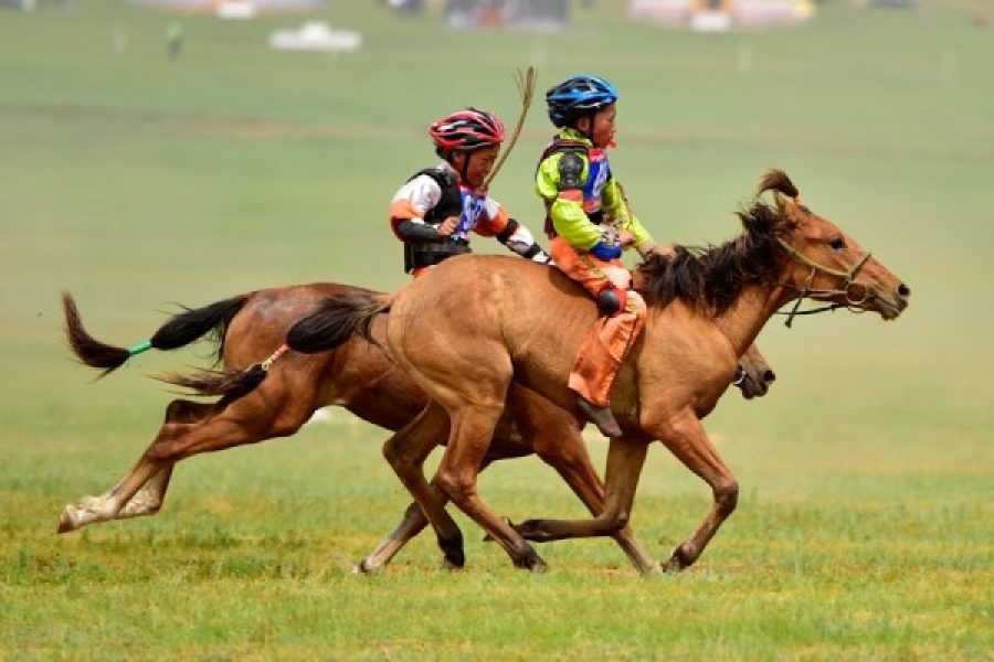 Naadam Festival & Horseback Riding Tour Itinerary